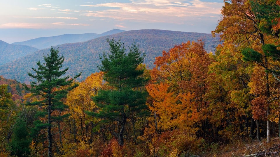 A forested mountain range with autumn foliage.