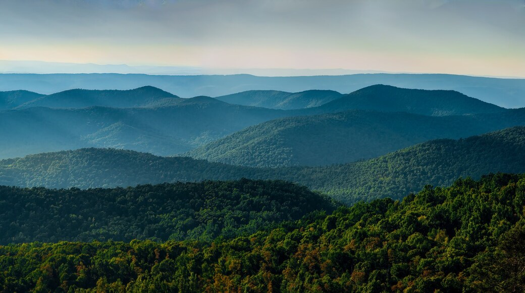 แมคกาฮีย์สวิลล์