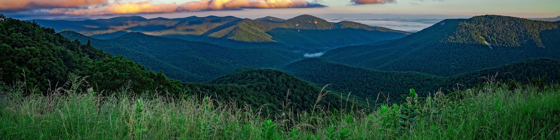 Panoramic view of Shenandoah National Park, Virginia, USA