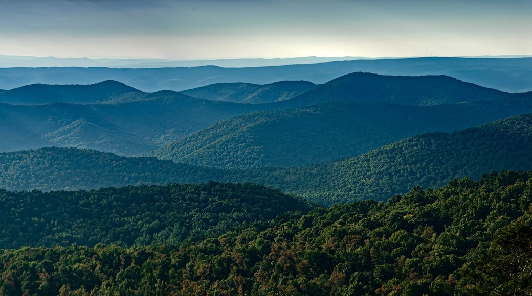 マクガヘイズビル