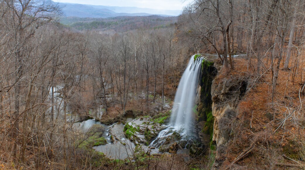 ๋ฐ๋ฒ๋ฌ์คํ๋ง์ค