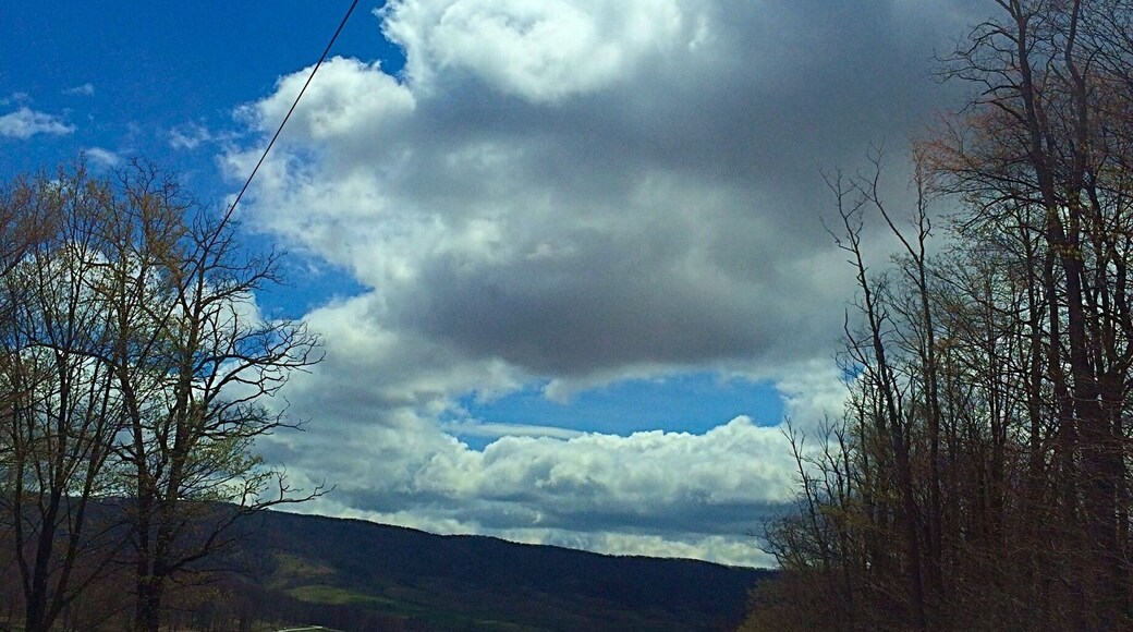 Drove from West Virginia to Virginia and was stunned to see the landscape. Driving in elevations over 4500 feet up and down different mountain ranges. Was colder than the surrounding areas. We had no idea Virginia was like this. Defiantly in our top 5 most beautiful car rides.