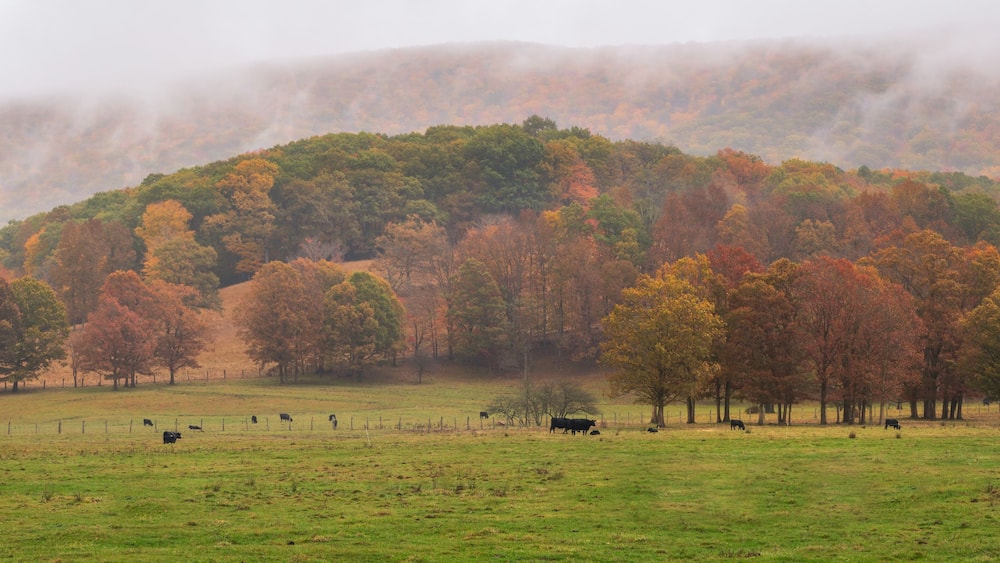 Rural Virginia Farm country in Autumn in the valleys and hills of the Appalachian Mountains