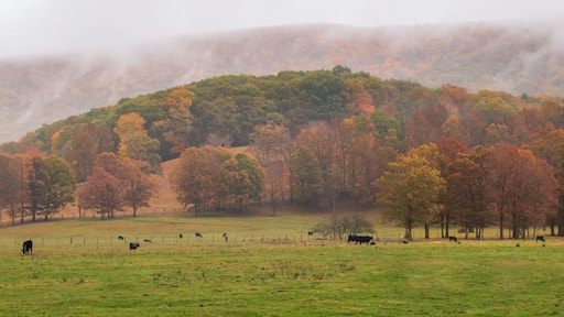 Rural Virginia Farm country in Autumn in the valleys and hills of the Appalachian Mountains