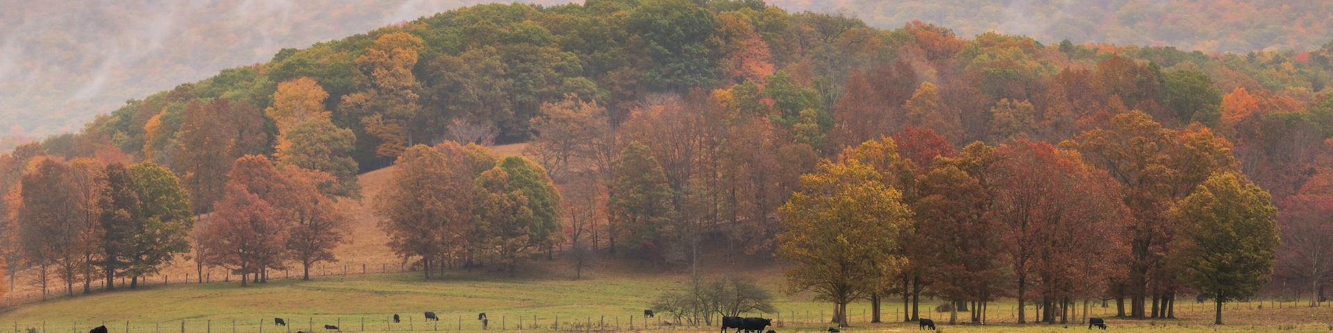 Rural Virginia Farm country in Autumn in the valleys and hills of the Appalachian Mountains