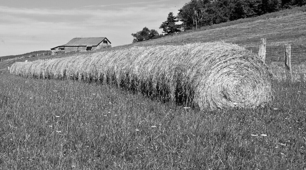 Skyline Drive is a 105-mile road that runs the entire length of the National Park Service's Shenandoah National Park in the Blue Ridge Mountains of Virginia, generally along the ridge of the mountains. We started in VA Port Royal and traveled through to The Smokey Mountains TN.
This is a farm house on the Ridge.