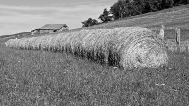Skyline Drive is a 105-mile road that runs the entire length of the National Park Service's Shenandoah National Park in the Blue Ridge Mountains of Virginia, generally along the ridge of the mountains. We started in VA Port Royal and traveled through to The Smokey Mountains TN.
This is a farm house on the Ridge.