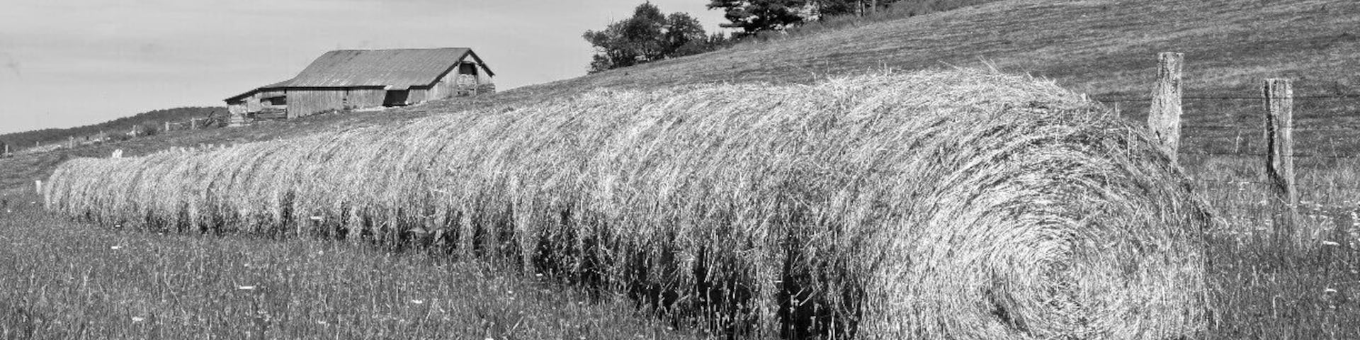 Skyline Drive is a 105-mile road that runs the entire length of the National Park Service's Shenandoah National Park in the Blue Ridge Mountains of Virginia, generally along the ridge of the mountains. We started in VA Port Royal and traveled through to The Smokey Mountains TN.
This is a farm house on the Ridge.