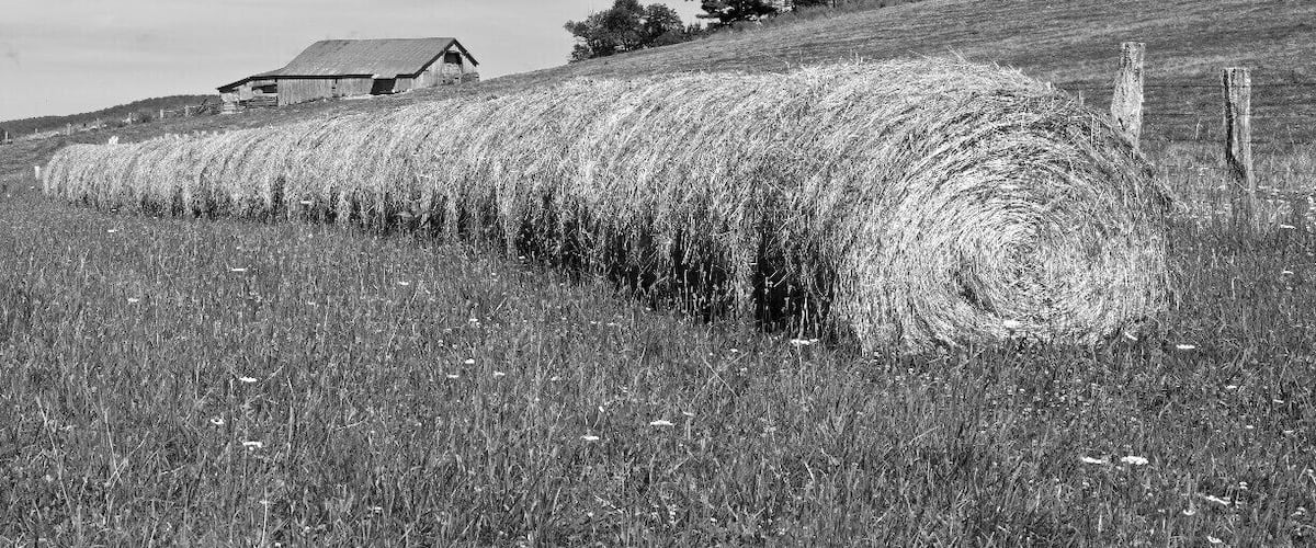A black and white landscape with a hayfield, a barn, and a forested hill.