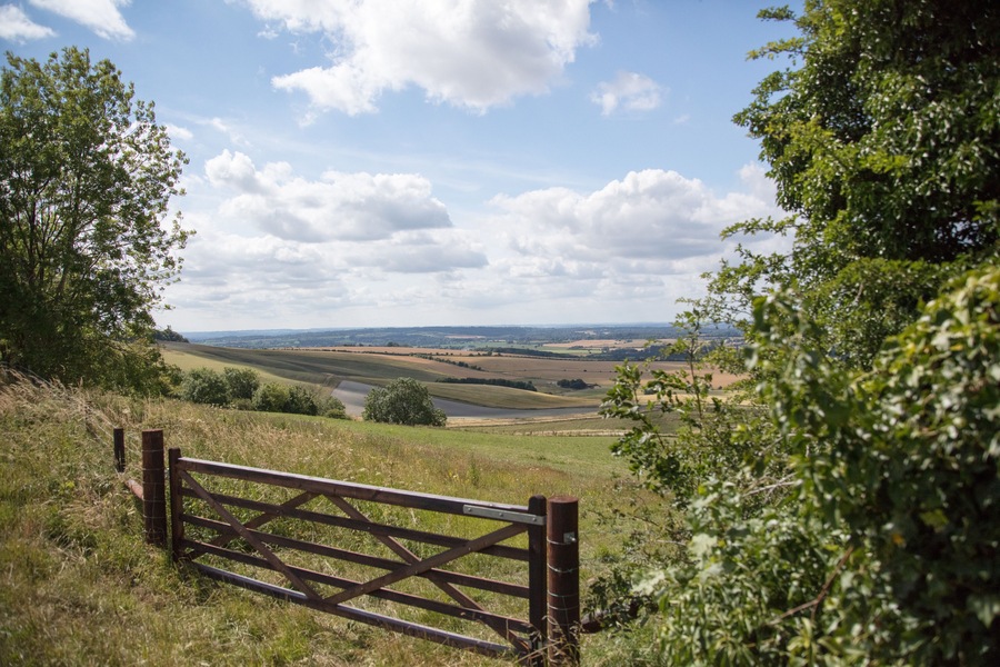 wooden fence in a field on Ridgeway