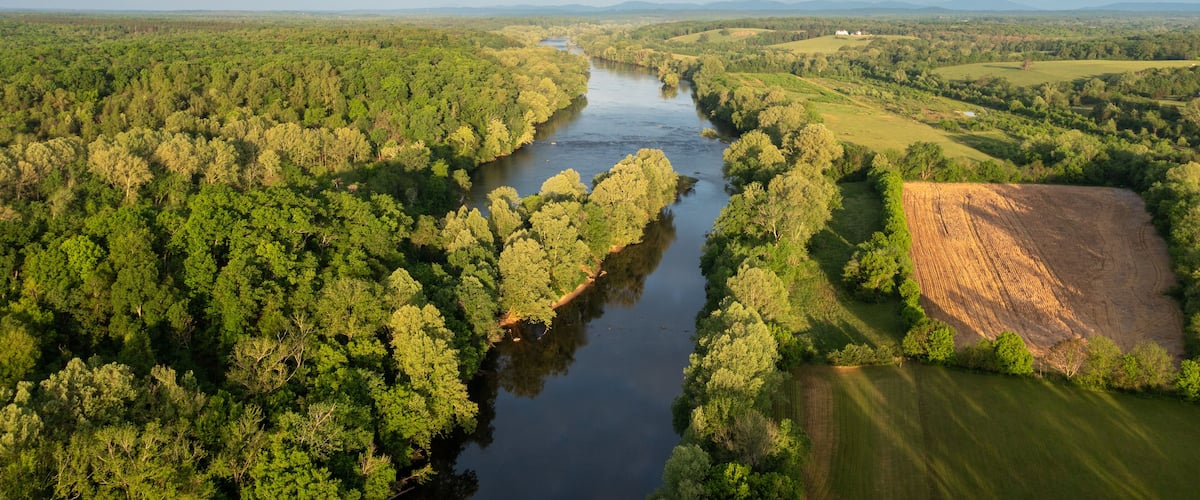 A river winding through a dense forest with open fields on the right.