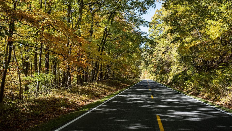A road flanked by trees with autumn foliage.