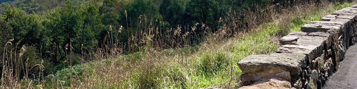 Great day riding my motorcycle around Skyline Drive, Virginia..
