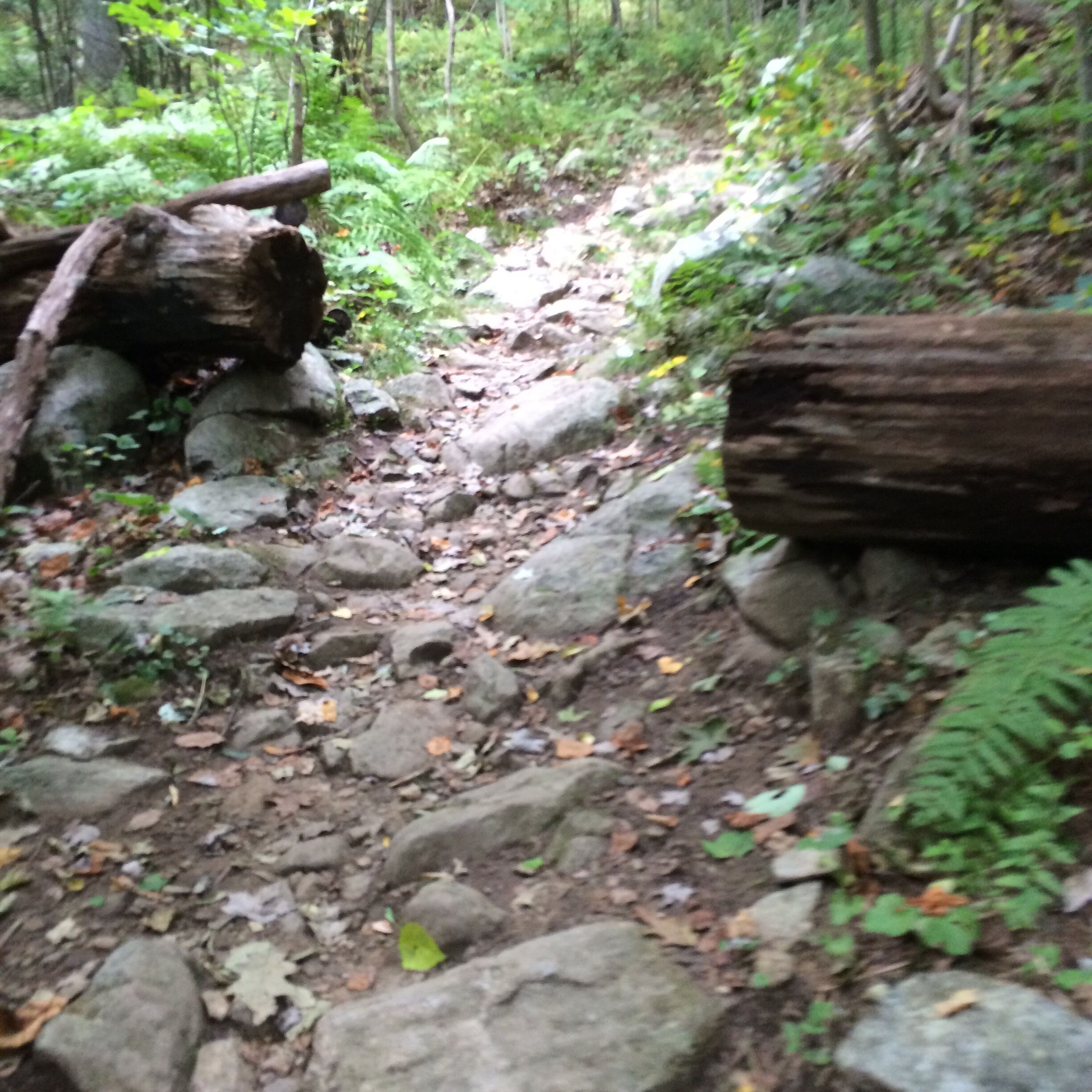 AT trail Shenondoa National Park summer 2014!
