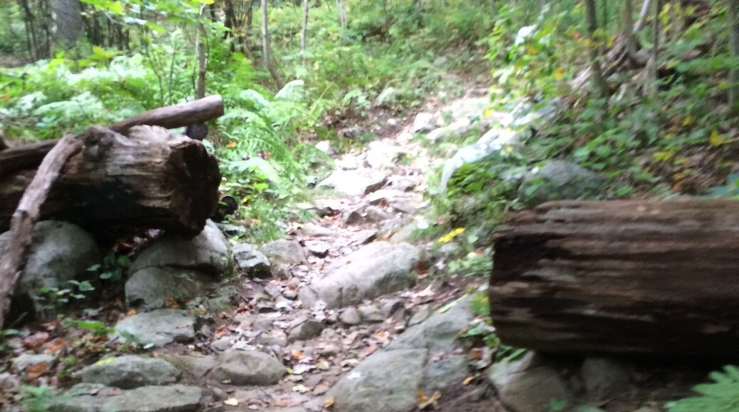 AT trail Shenondoa National Park summer 2014!