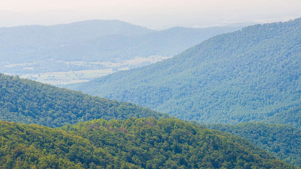 A mountainous landscape with dense forests and rolling hills.