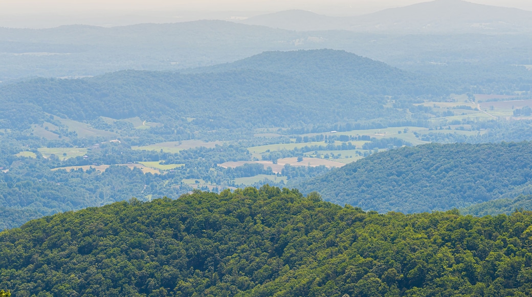 Aerial high angle view of Shenandoah Blue Ridge appalachian mountains from skyline drive overlook in Virginia with Stanley city rural village town