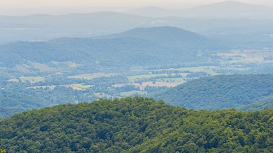 Aerial high angle view of Shenandoah Blue Ridge appalachian mountains from skyline drive overlook in Virginia with Stanley city rural village town
