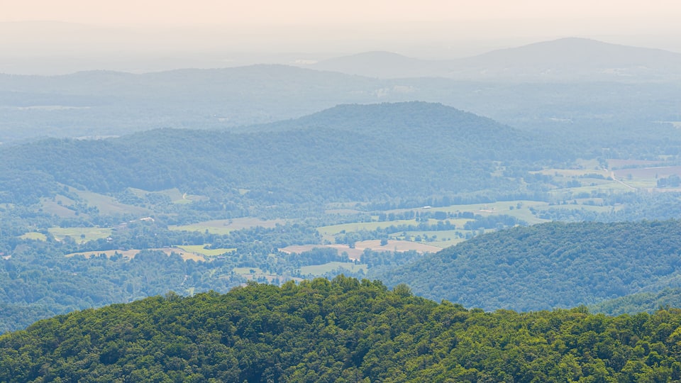 A mountainous landscape with dense forests and rolling hills.