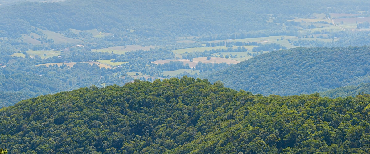 A mountainous landscape with dense forests and rolling hills.