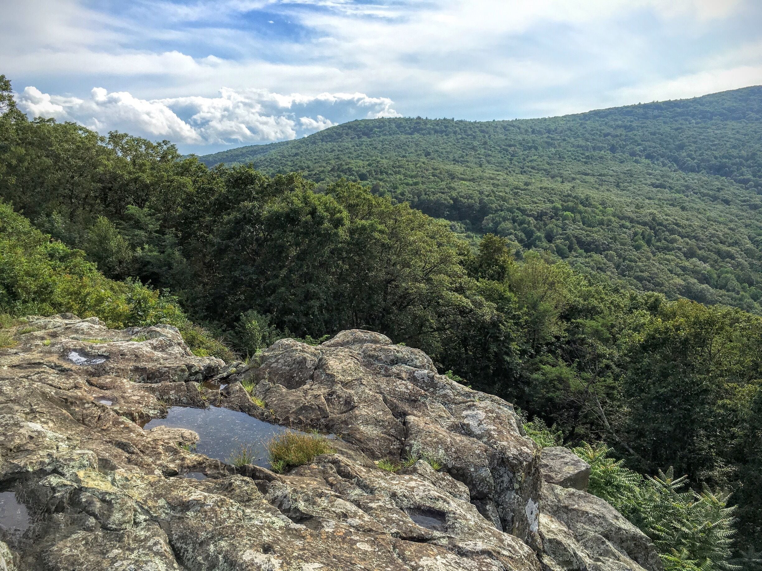 A mountainous landscape with dense forest and rocky terrain.