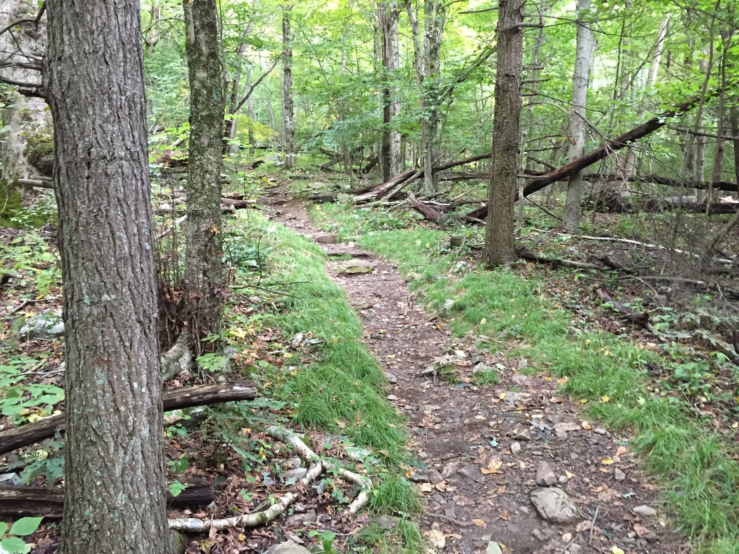 Hiking the Rapidan Camp Trail In Shenandoah National Park Sunday...