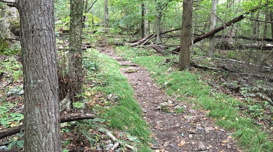 Hiking the Rapidan Camp Trail In Shenandoah National Park Sunday...