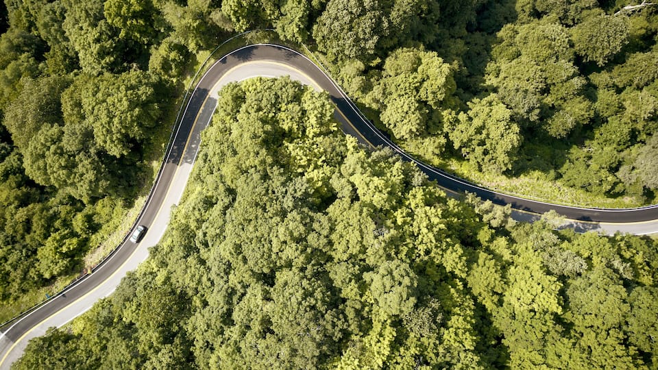 An aerial view of a winding road through a dense forest.