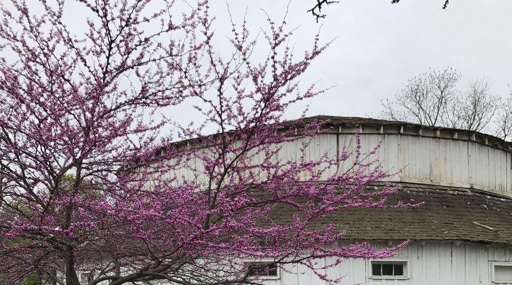 Amazing natural hot springs!
So much history and beauty here
Definitely worth checking out, if you can!