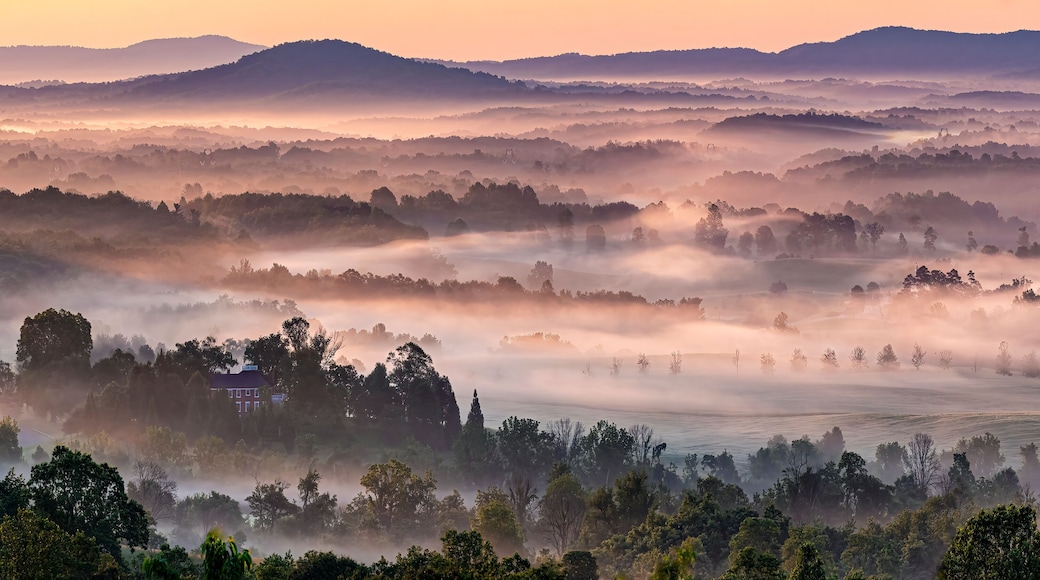 Misty valley in early morning in Albemarle County, Virginia, in late spring.