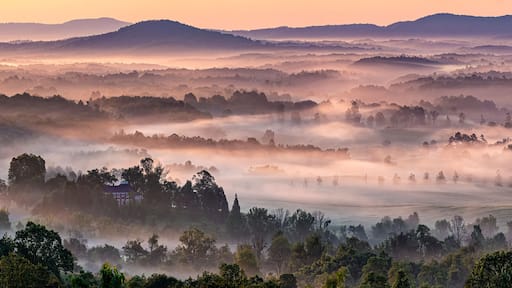 Misty valley in early morning in Albemarle County, Virginia, in late spring.