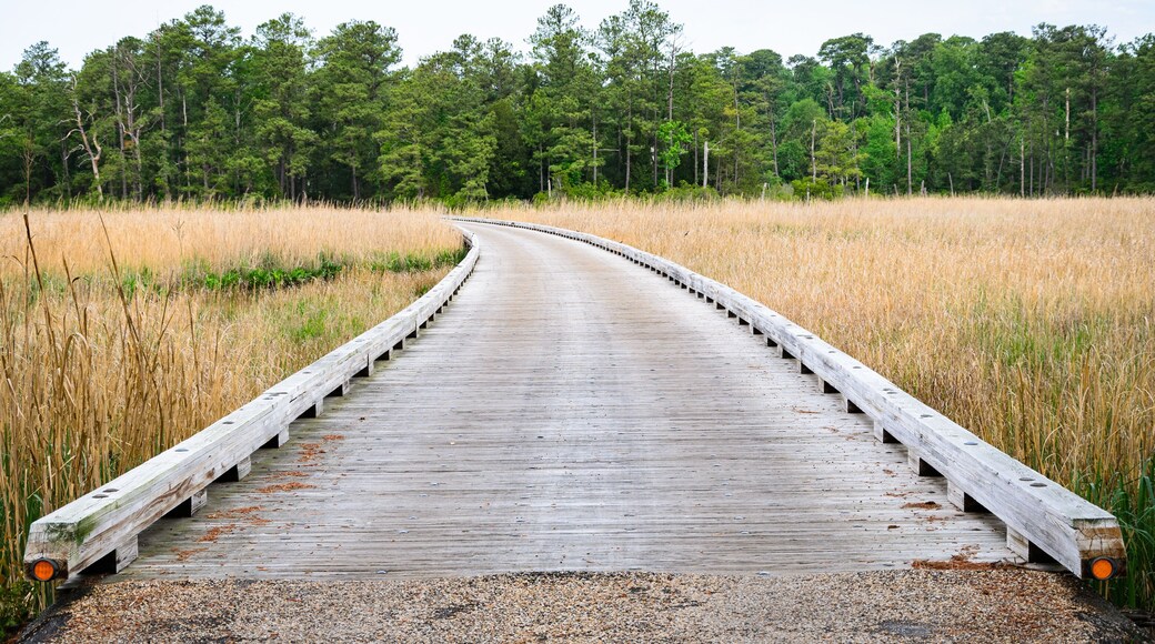 Jamestown National Historic Site