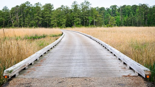 Jamestown National Historic Site