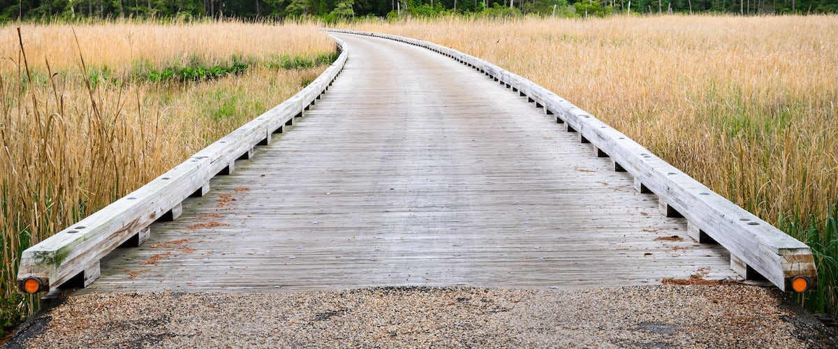 A wooden boardwalk curving through a field with tall grasses and a forest in the background.