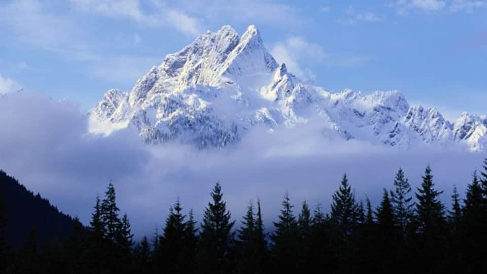 A snow-capped mountain peak with a forested foreground.