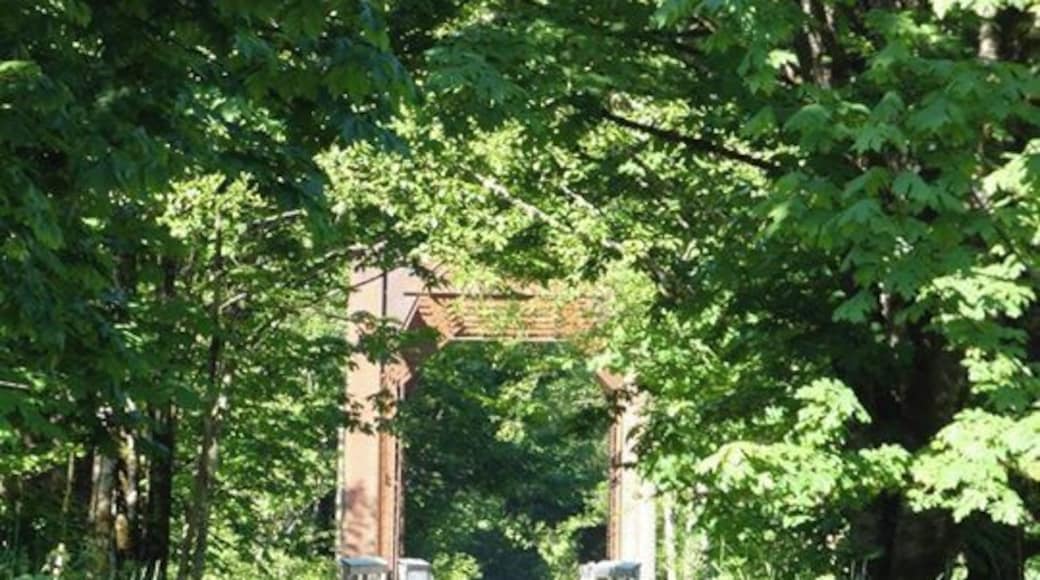 This 27 mile trail follows the historic rail link between Arlington and Darrington. You can park and pick up the trail at multiple locations. Perfect for families with little ones, as it is fairly flat. Good for biking, as well. #TakeAHike