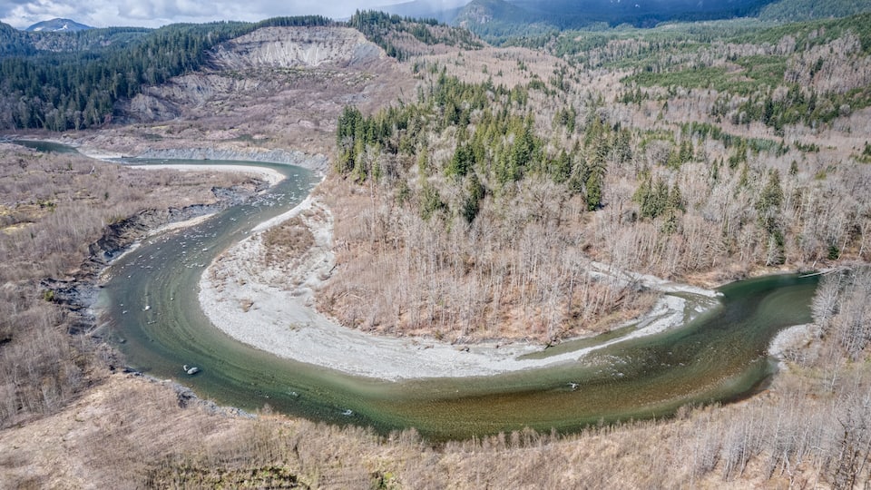 A winding river through a forested valley with mountains in the background.