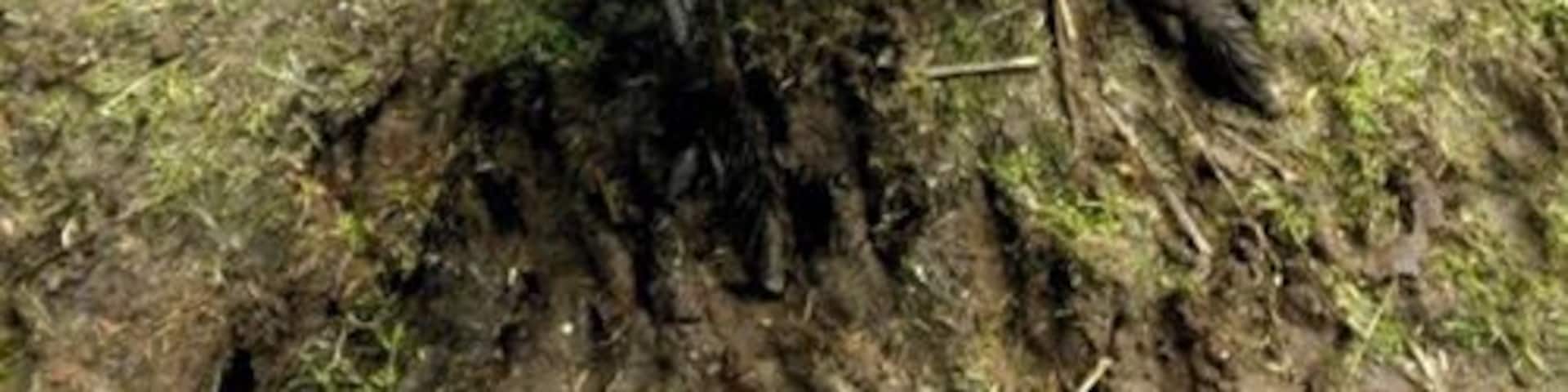 Bring shoes that can get muddy. Feed and observe rescued roo's and wallaby's, and see lemurs, llamas, ostriches, donkeys, etc.