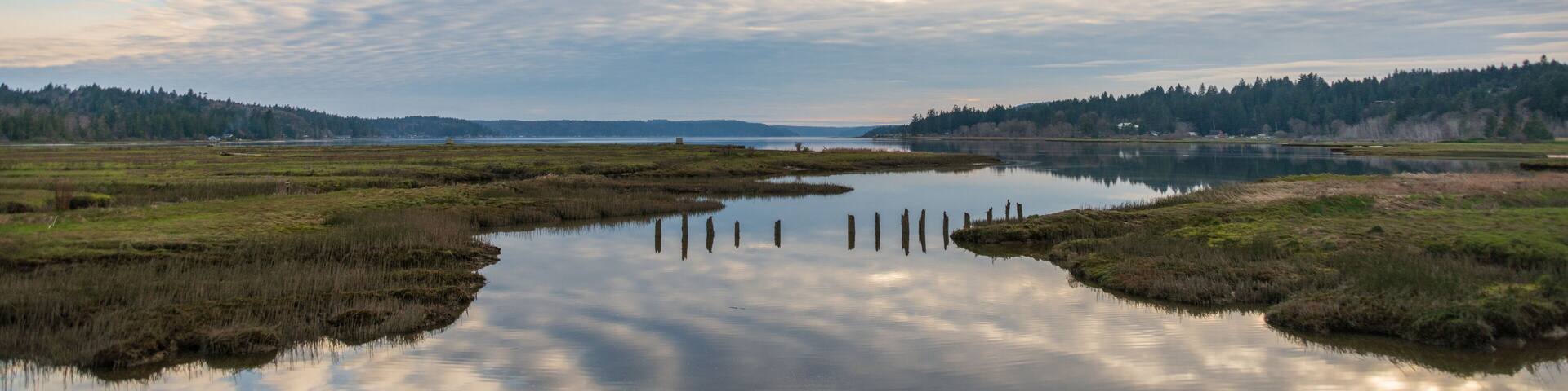 Theler Wetlands Nature preserve in Belfair, Washington State