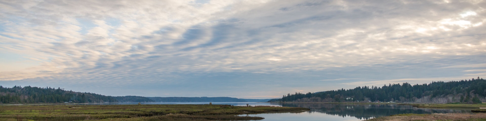 Theler Wetlands Nature preserve in Belfair, Washington State
