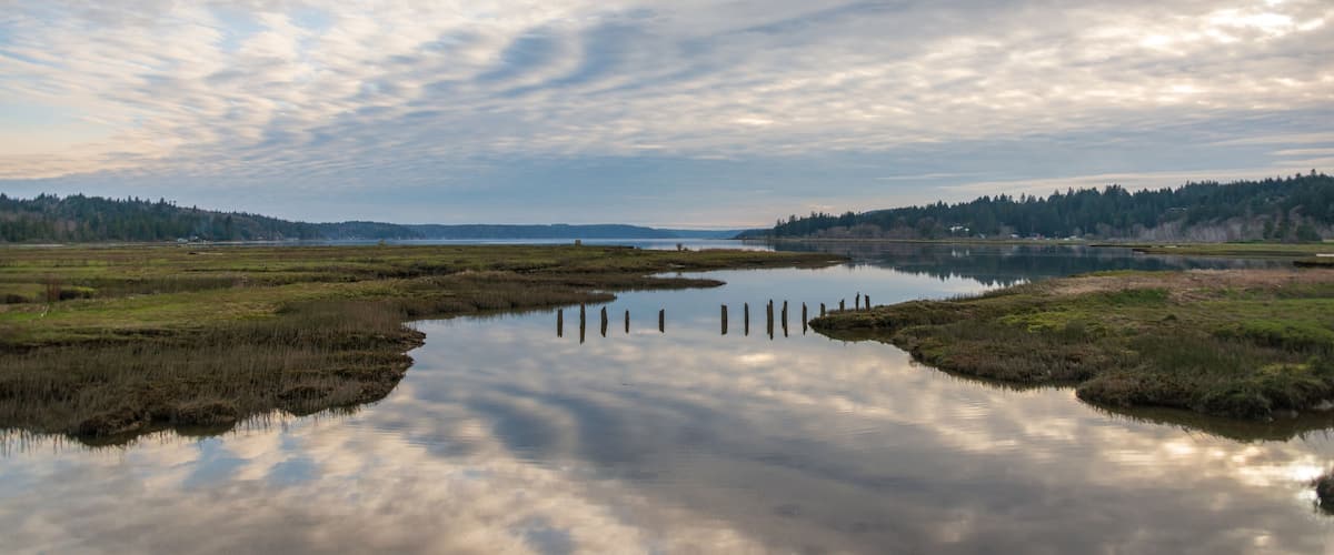 A calm river reflecting clouds, surrounded by grassy fields and a forested hill.