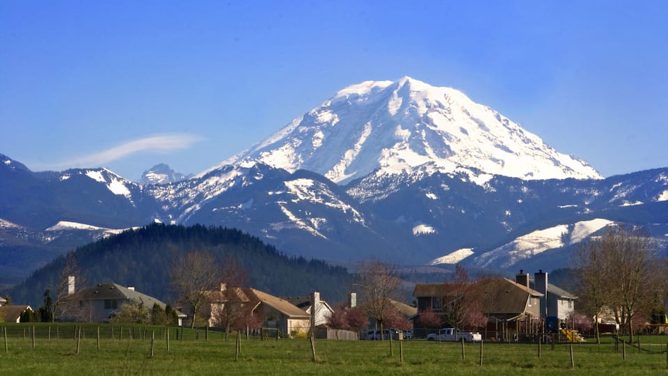 A snow-capped mountain, houses, and a green field.