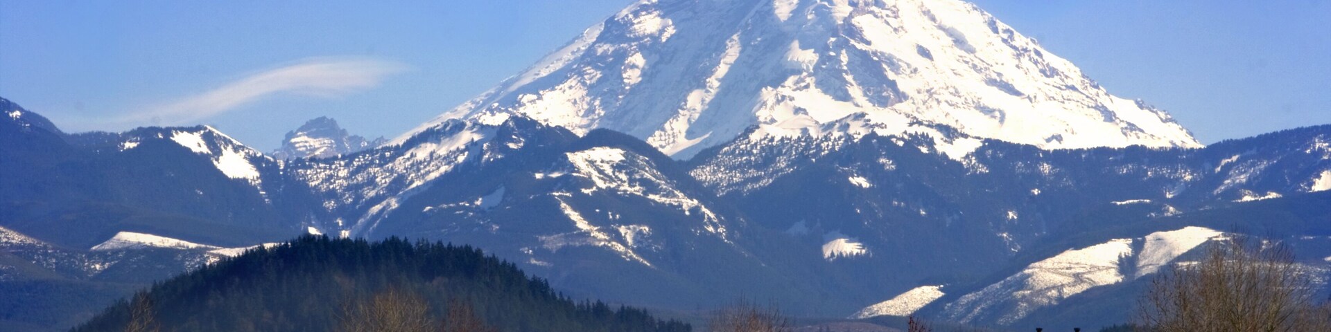 Mt. Rainier viewed from across a field