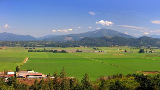 Panoramic View of Skagit valley from Burlington cross overlook