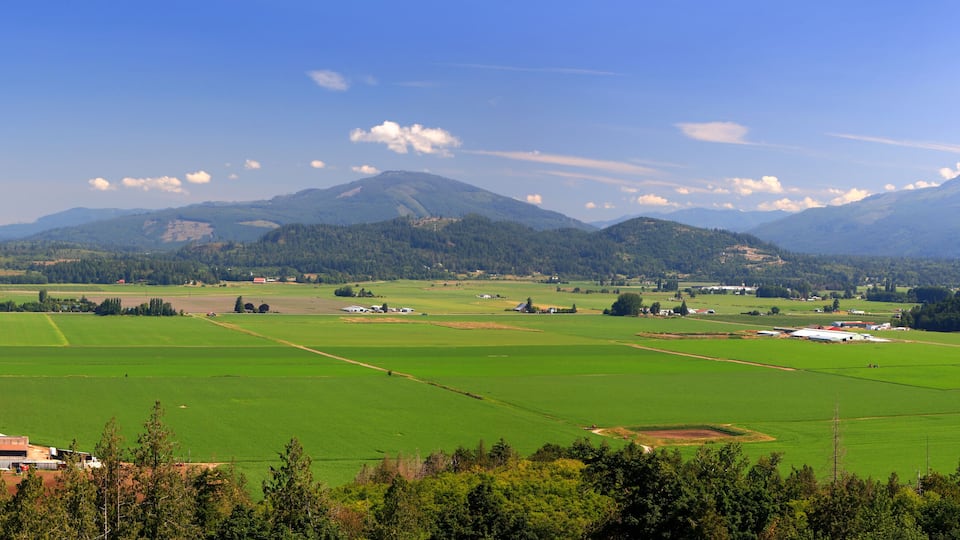 A rural landscape with green fields, scattered buildings, and mountains in the background.