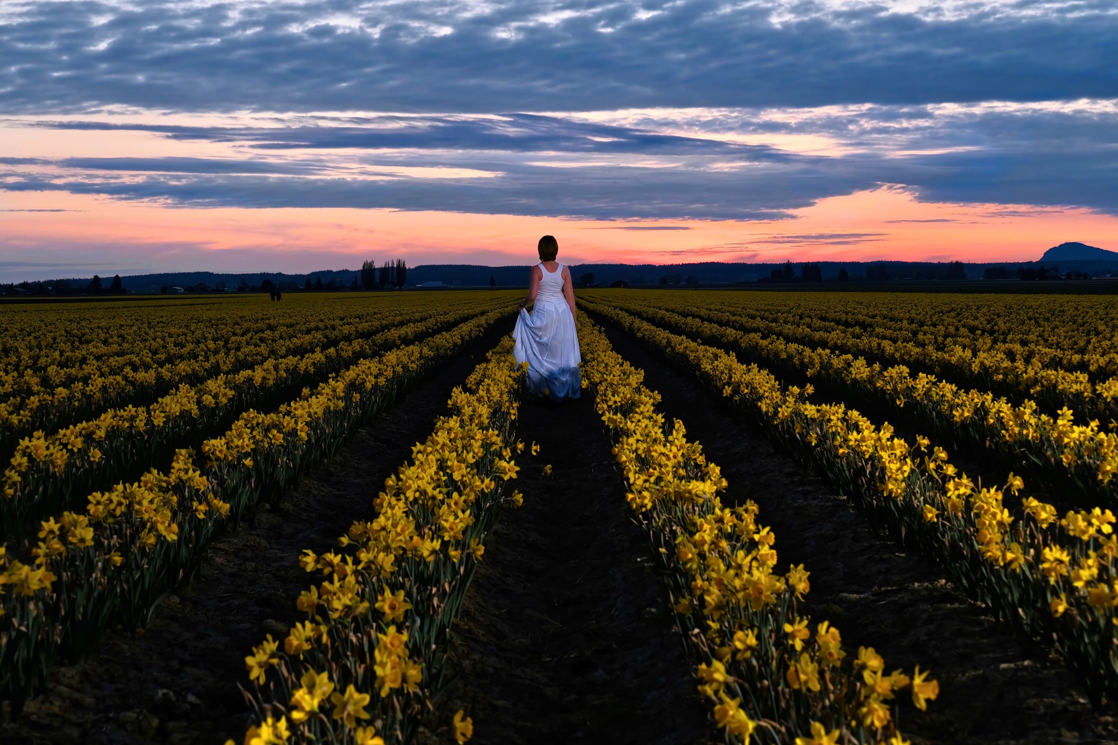 A woman in a white dress walking through a field of yellow flowers at sunset.