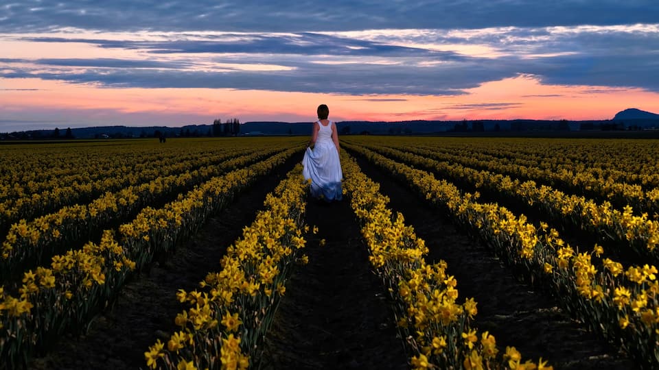 A woman in a white dress walking through a field of yellow flowers at sunset.
