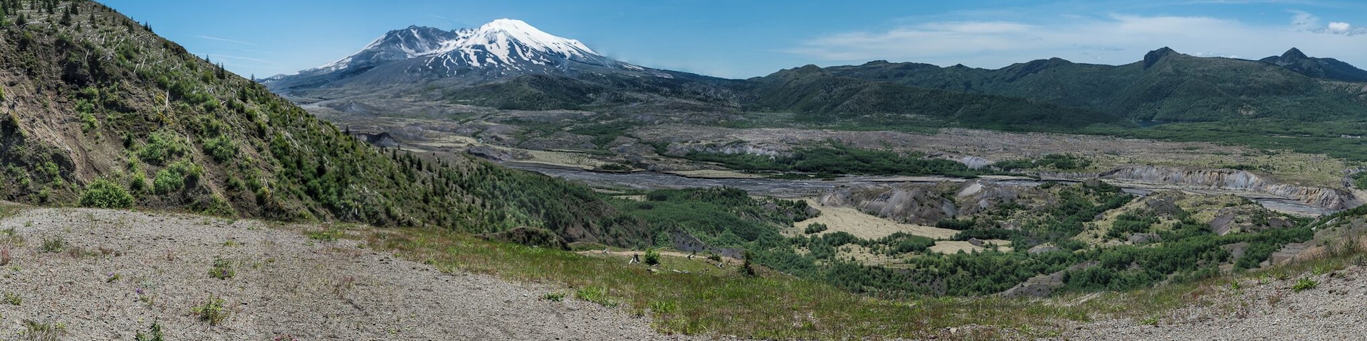 The Toutle River runs for 17 miles in two separate forks, converging into one and finally spilling into the Cowlitz River just a few miles north of Castle Rock.
At this point on the boundary trail, you can see that ash still pervades its banks, though the inevitable spread of flora and fauna will soon build up enough topsoil to revitalize the area.
I had never seen a clearer, and more definitive view of the tributary, even in photographs.  It is astounding how much of the mountain's topography, geology and habitat are on clear display on this trail.  And on a beautiful day, you can't really find a more beautiful hike in the southwestern portion of the state.