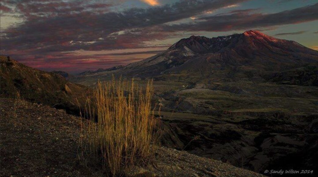 Here's a repost of one of my favorites of my one of my favorite places, Mt St Helen's at sunset last October 2014.