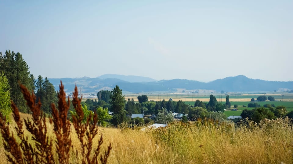 A rural landscape with rolling hills, fields, and scattered trees.